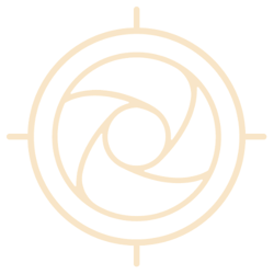 Stark logo - 25% transparency 