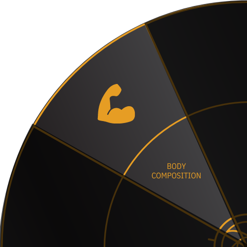 Bicep muscle icon for BODY COMPOSITION on the Stark Wheel of Health