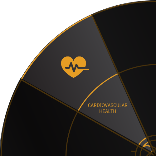 Heart rate icon for CARDIOVASCULAR HEALTH on the Stark Wheel of Health