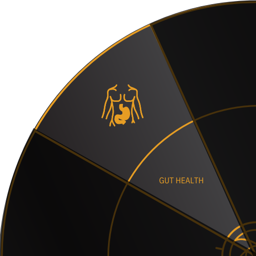 Stomach & intestines icon for GUT HEALTH on the Stark Wheel of Health
