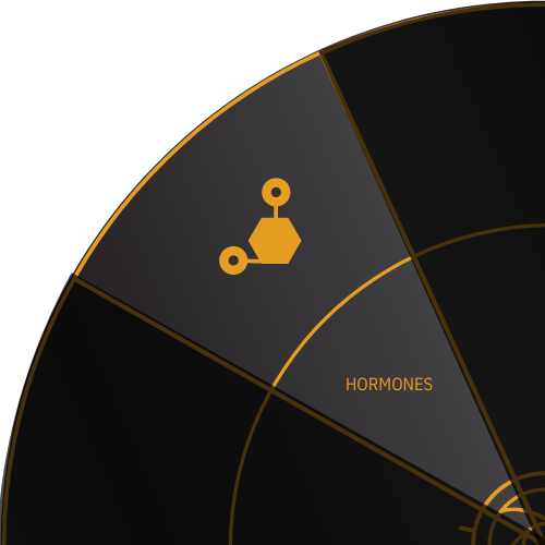 Molecule icon for HORMONES on the Stark Wheel of Health