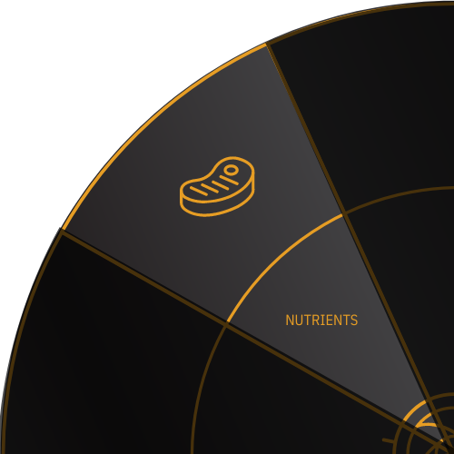 Steak icon for NUTRIENTS on the Stark Wheel of Health