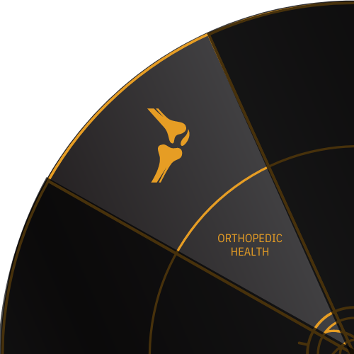 Knee joint icon for ORTHOPEDIC HEALTH on the Stark Wheel of Health