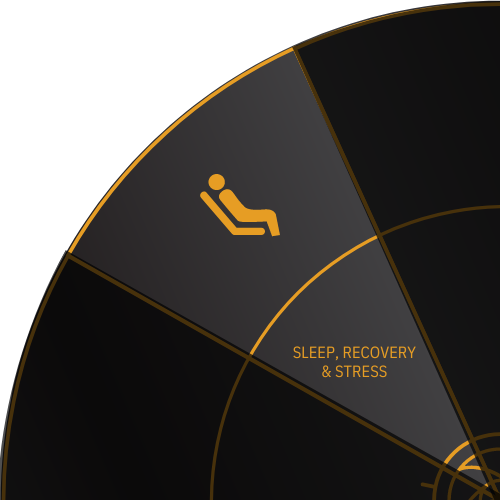User with chair back reclined icon for SLEEP, RECOVERY & STRESS on the Stark Wheel of Health