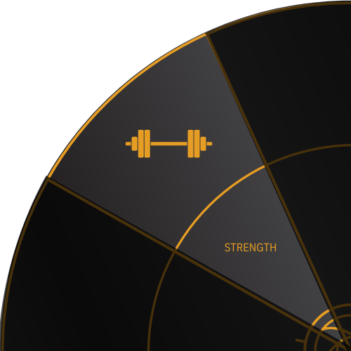 Dumbell icon for STRENGTH on the Stark Wheel of Health