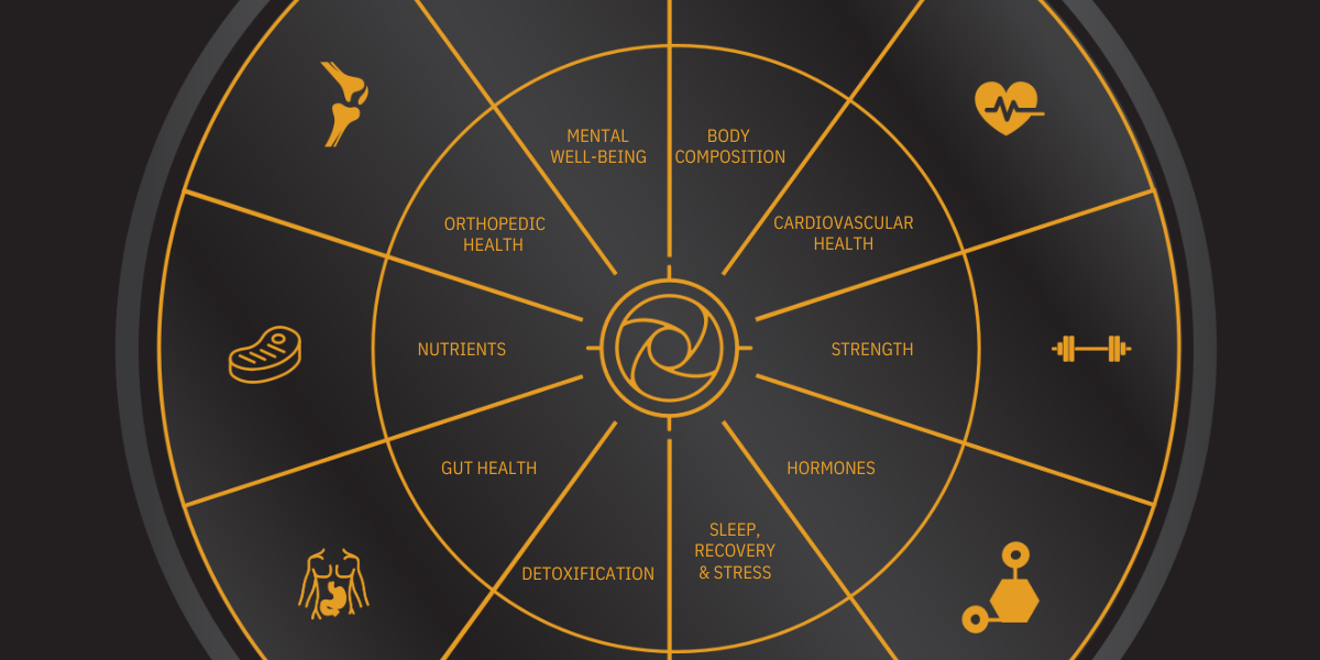 Wheel of Health graphic showing 10 spokes which make up the methodology of optimal well being