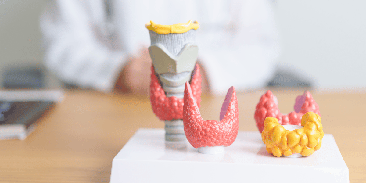 5 Signs It's Time to Check Your Thyroid Hormones