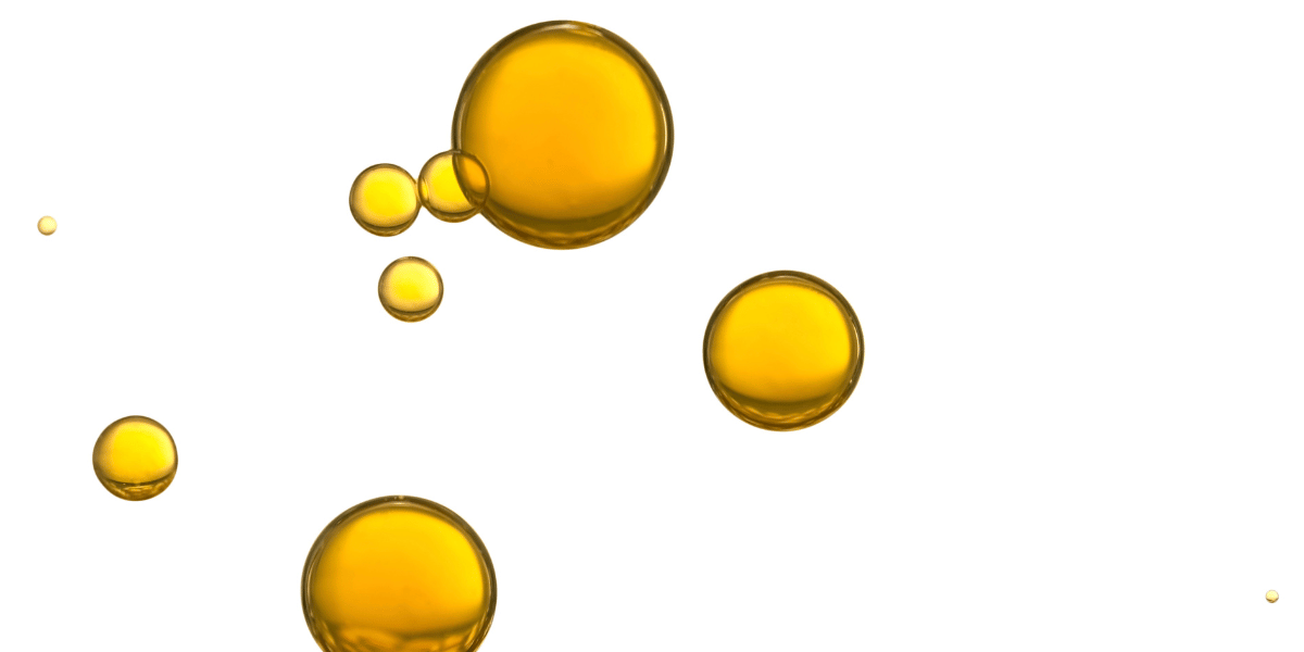The Dark Side of Seed Oils