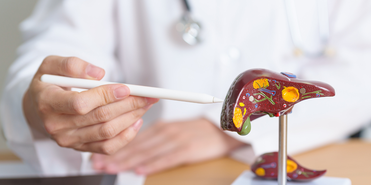 Basic Liver Function - Gross Effects of Toxins on Your Metabolism