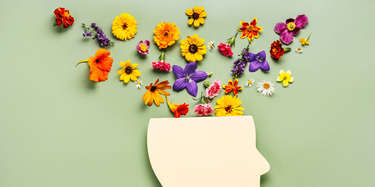 The Real Connection Between Happy and Healthy