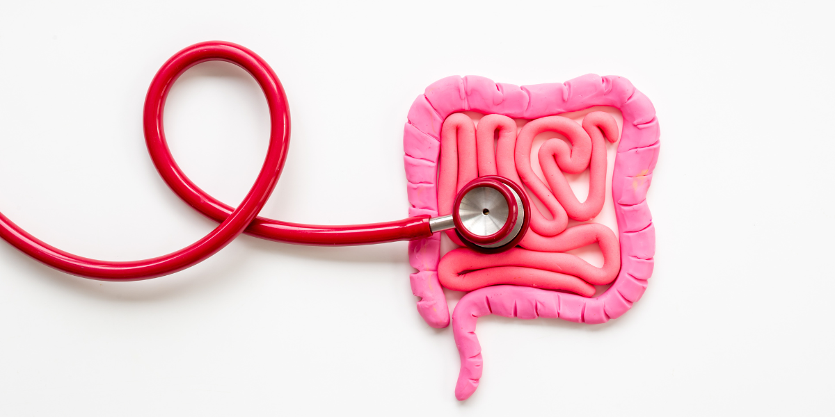 Get Out of Your Rut, Fix Your Gut: 4 Simple Steps to a Better Gut