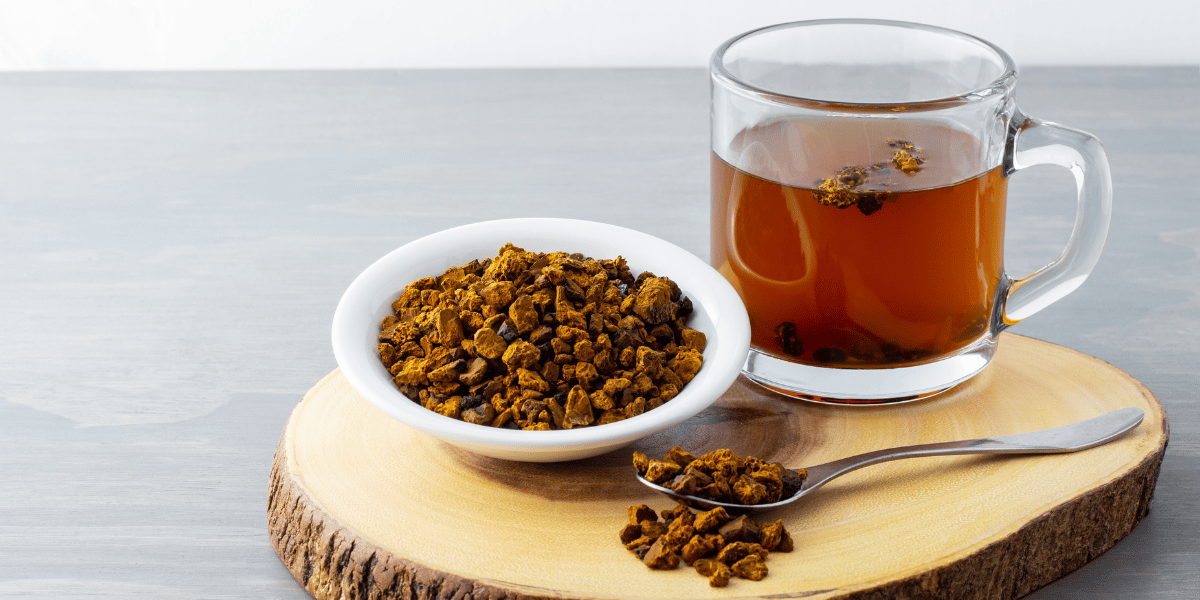 Tea With a Side of... (Functional) ’Shrooms?!