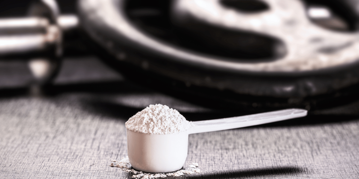 creatine powder in scoop sitting in front of weight