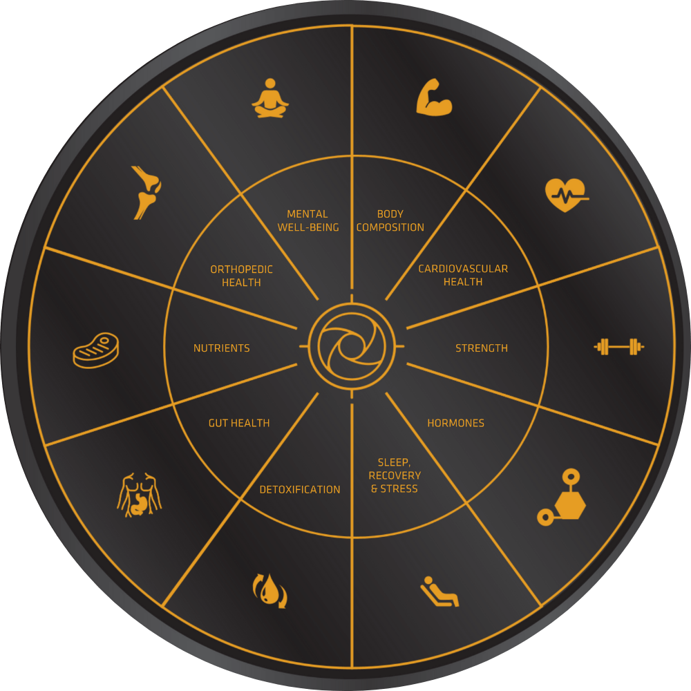 Stark Wheel of Health — Body Composition, Cardiovascular Health, Strength, Hormones, Sleep, Detoxification, Gut Health, Nutrients, Orthopedic Health, Mental Well-Being