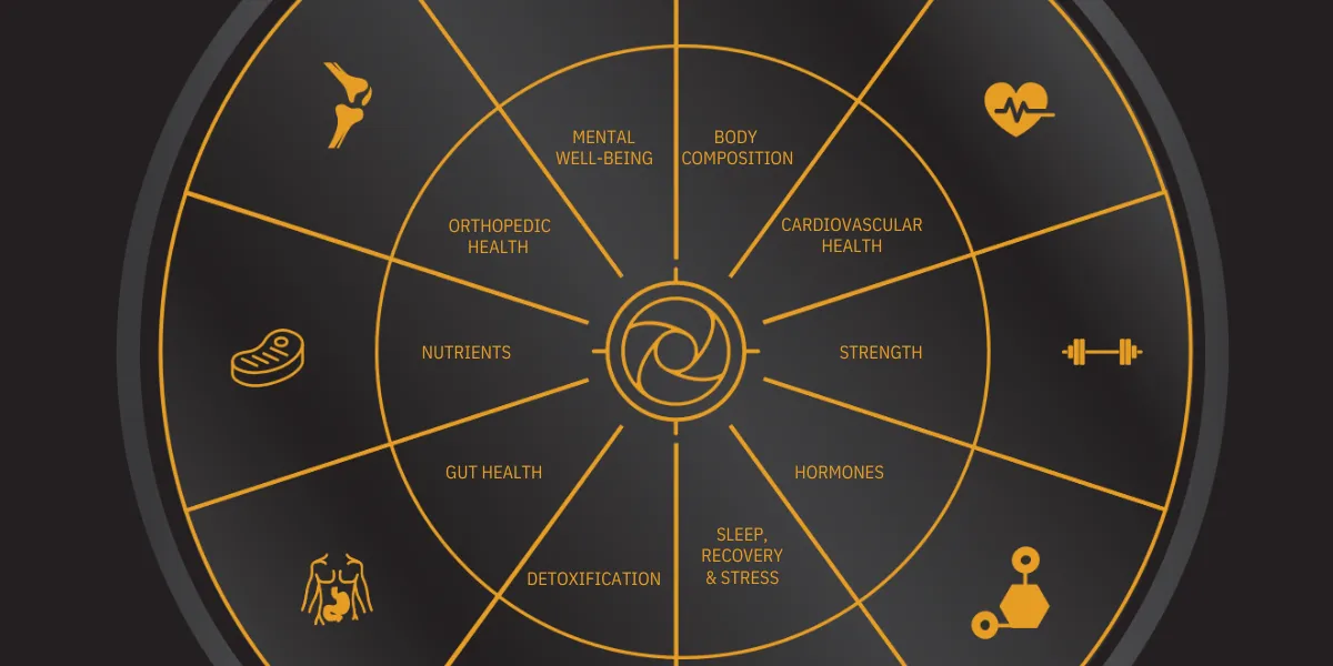 Stark Wheel of Health — 10 dimensions of health optimization